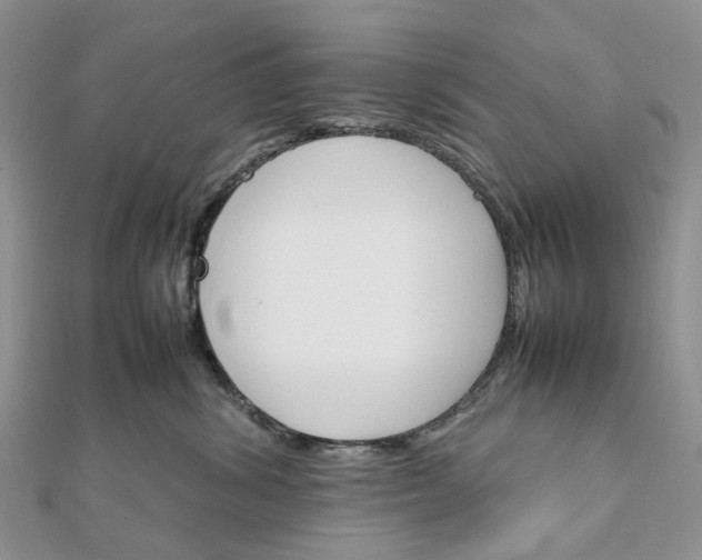 X0000111680428200907311223