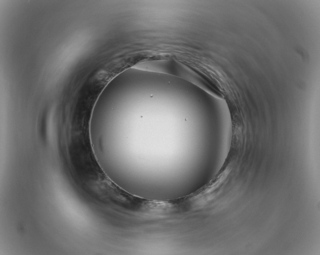 X0000111680429200907311223