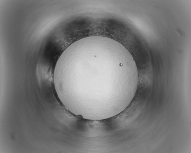 X0000111680431200907311223