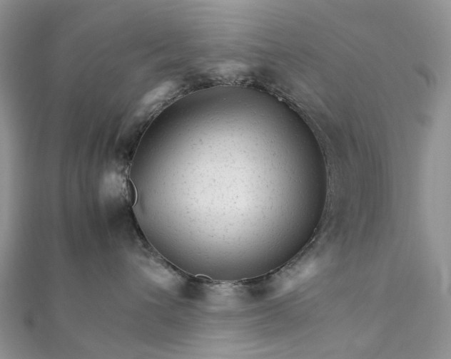 X0000111680432200907311223