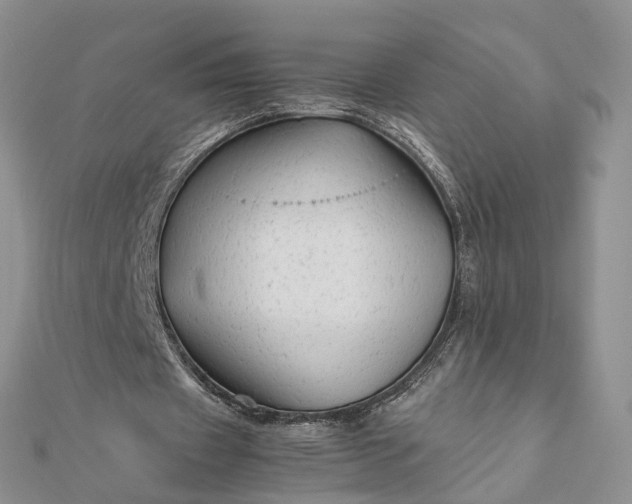 X0000111680433200907311223