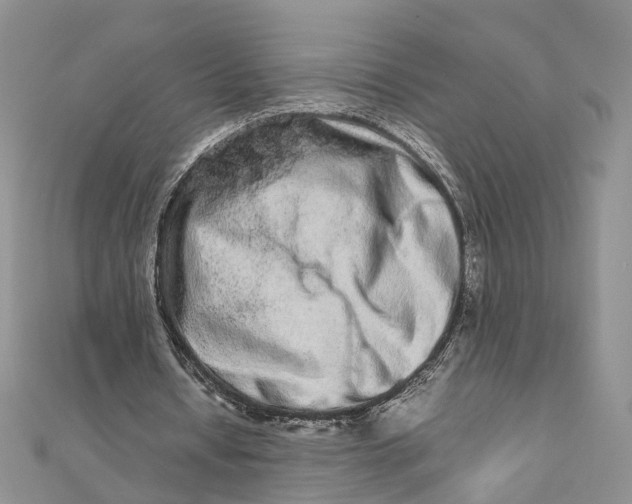 X0000111680434200907311223