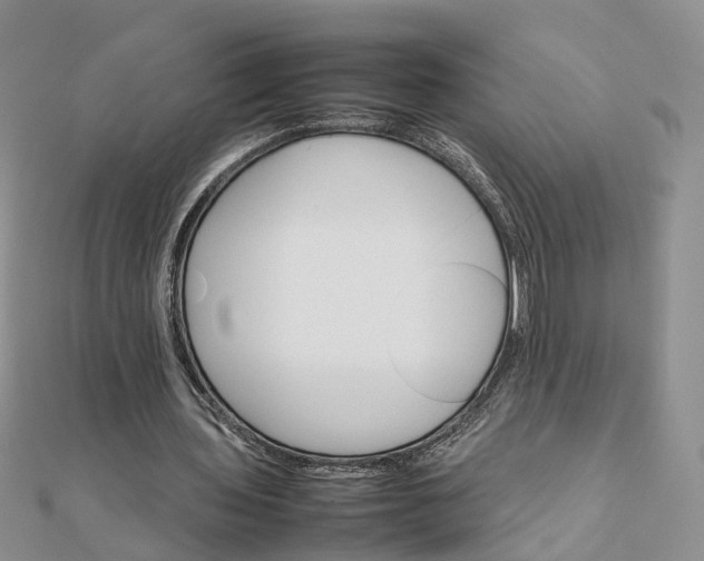 X0000111680435200907311223