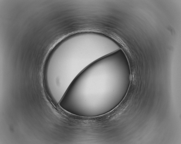 X0000111680436200907311223