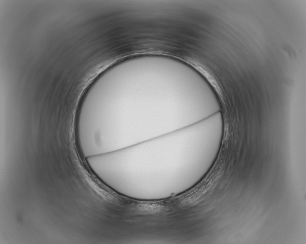 X0000111680437200907311223