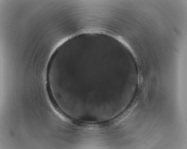 X0000111680438200907311223