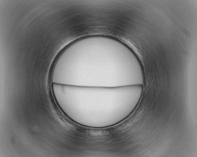 X0000111680439200907311223