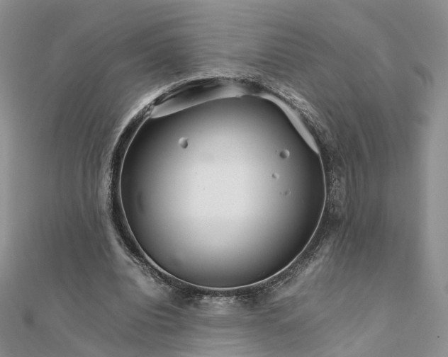 X0000111680440200907311223