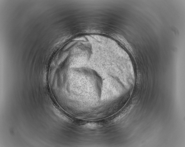 X0000111680441200907311223