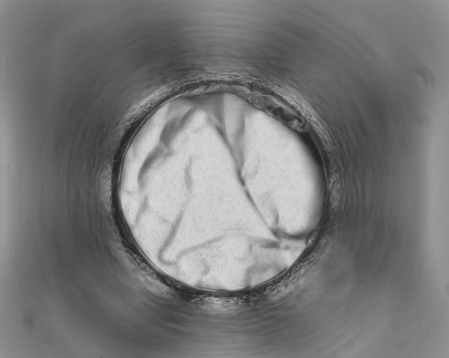 X0000111680442200907311223