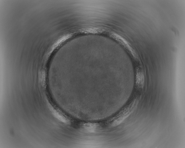 X0000111680444200907311223