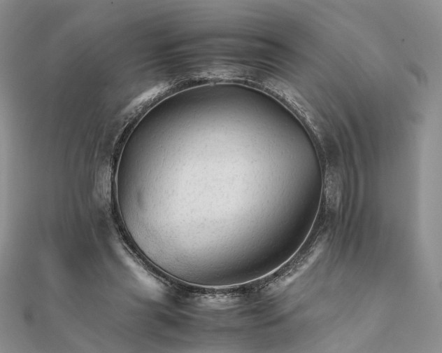 X0000111680445200907311223