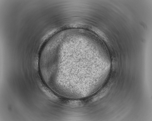 X0000111680446200907311223