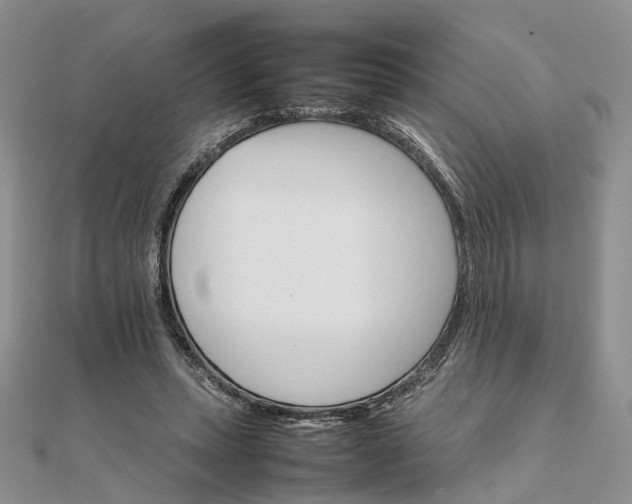 X0000111680447200907311223