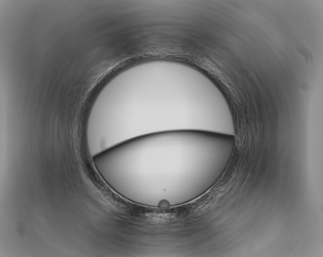 X0000111680448200907311223