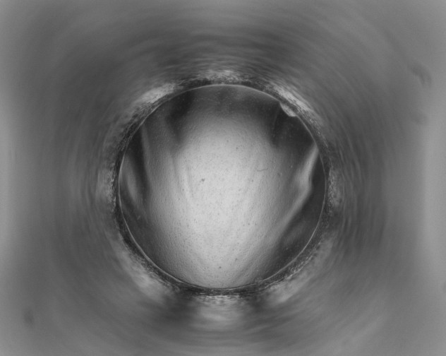 X0000111680449200907311223