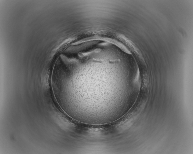 X0000111680450200907311223