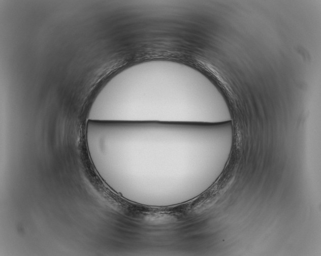 X0000111680451200907311223