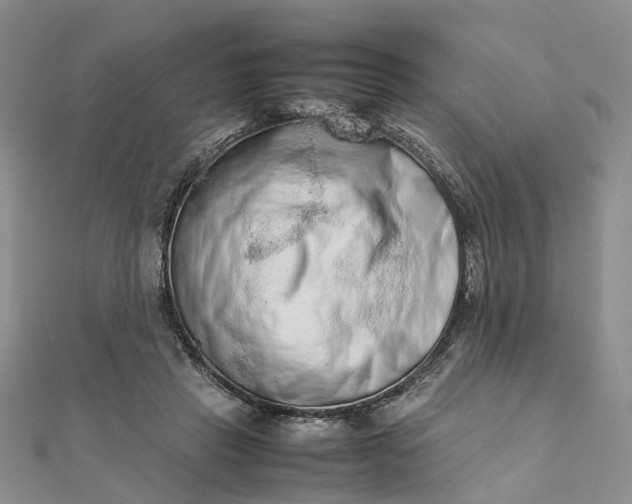 X0000111680453200907311223