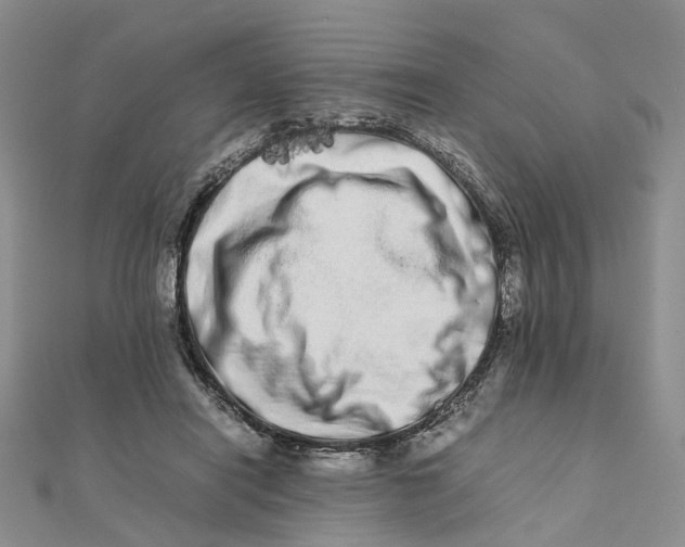 X0000111680454200907311223