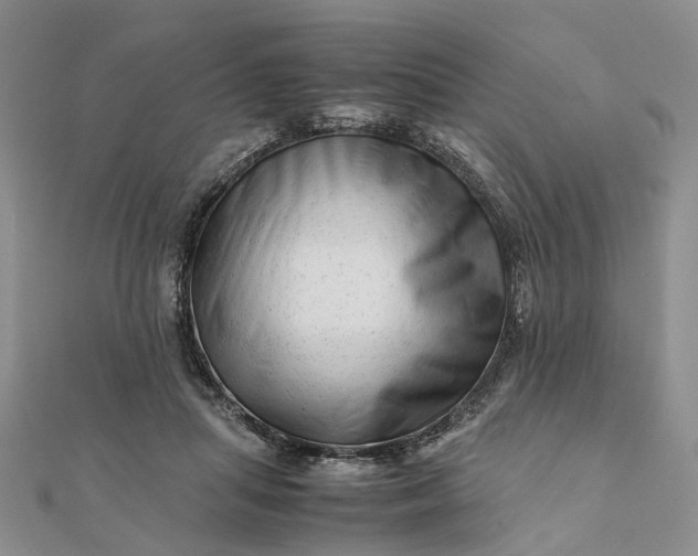 X0000111680455200907311223