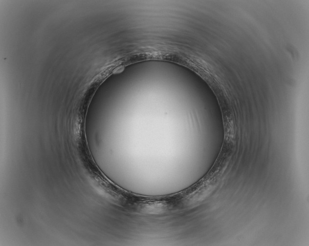 X0000111680456200907311223