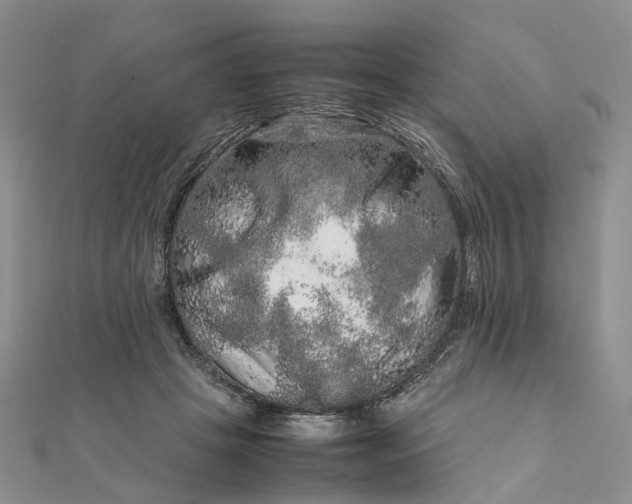 X0000111680457200907311223