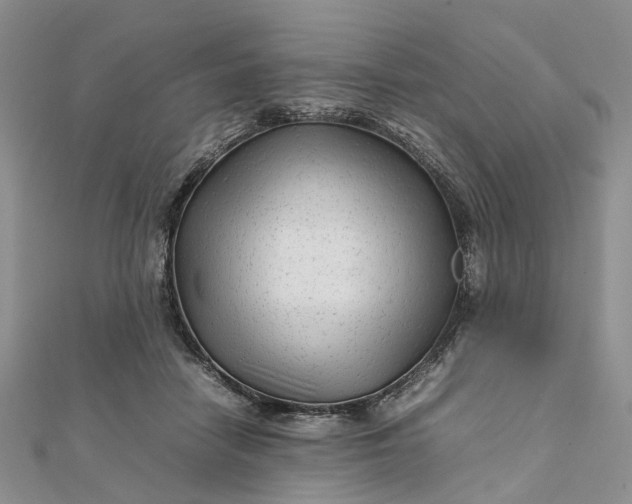 X0000111680458200907311223