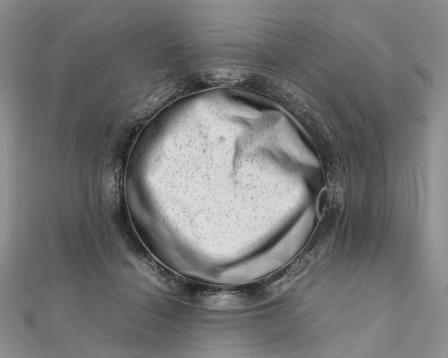 X0000111680460200907311223