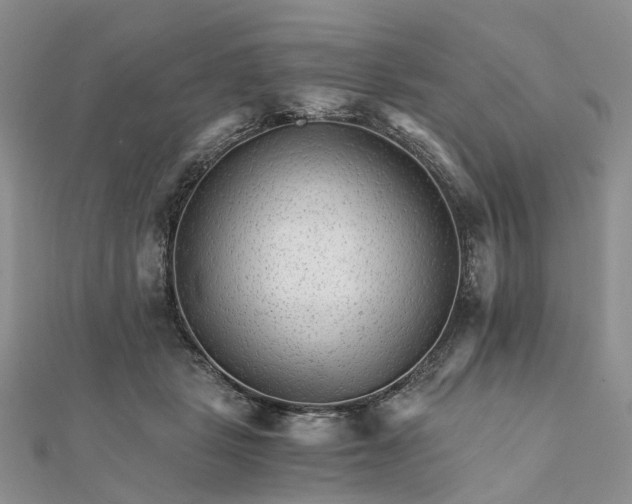 X0000111680461200907311223