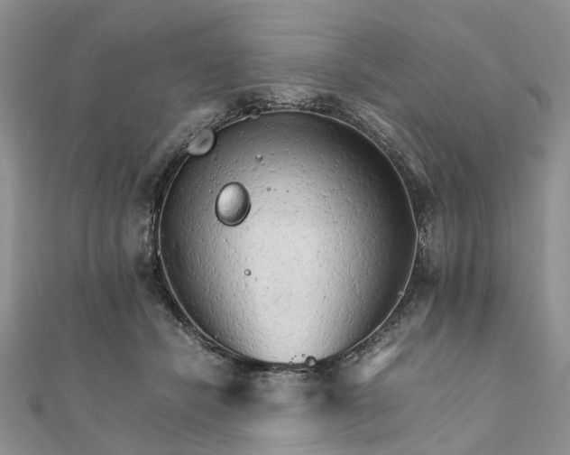 X0000111680462200907311223