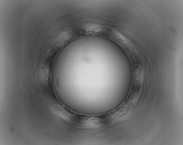 X0000111680463200907311223