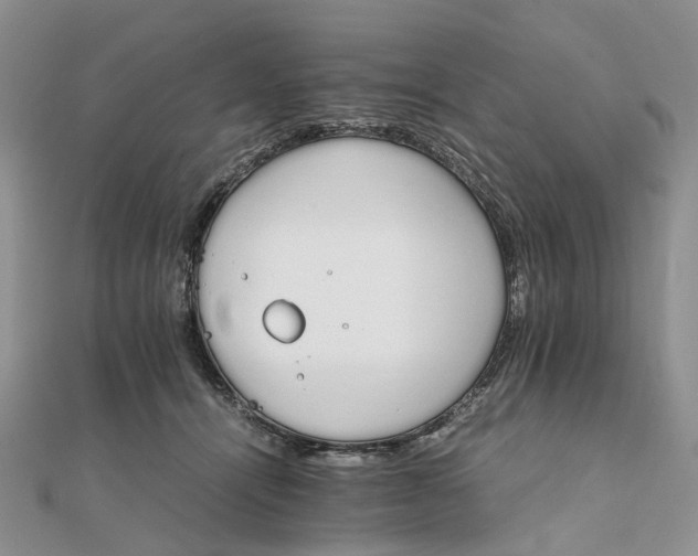 X0000111680464200907311223