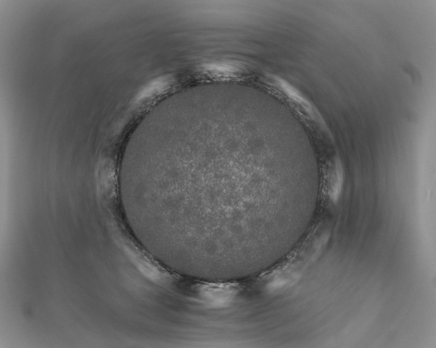 X0000111680465200907311223