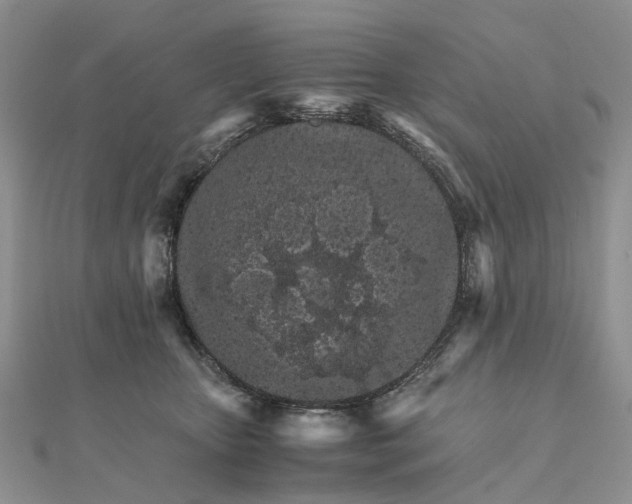 X0000111680467200907311223