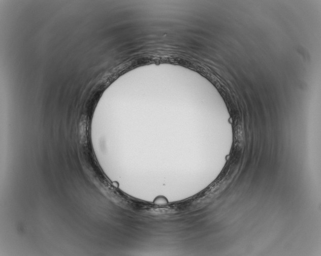 X0000111680468200907311223