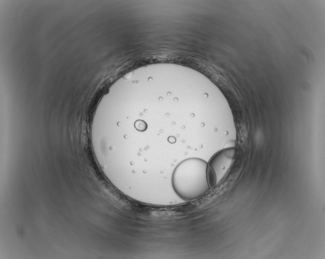 X0000111680470200907311223