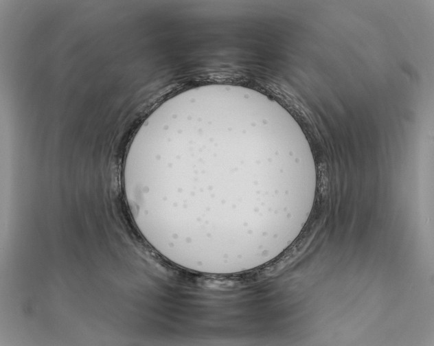 X0000111680471200907311223