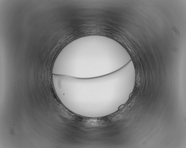 X0000111680473200907311223