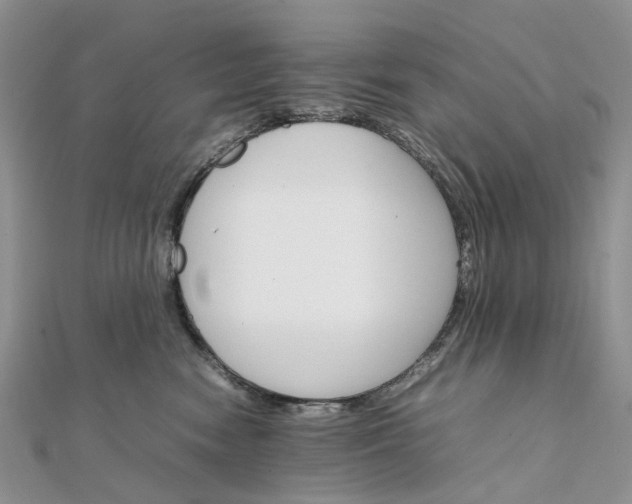 X0000111680474200907311223