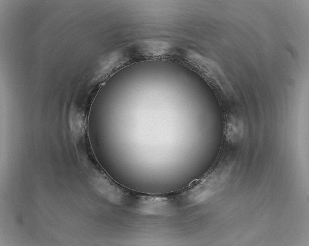 X0000111680476200907311223