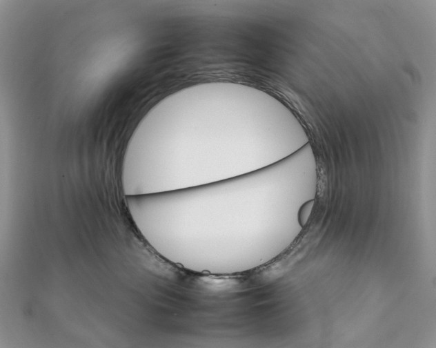 X0000111680477200907311223