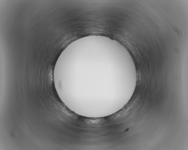 X0000111680479200907311223