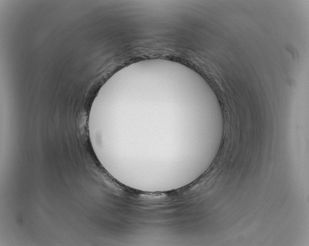 X0000111680480200907311223