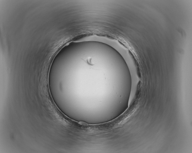 X0000111680481200907311223