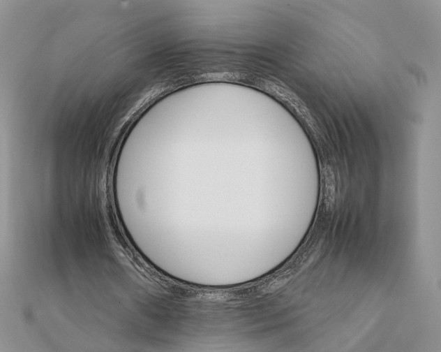 X0000111680482200907311223