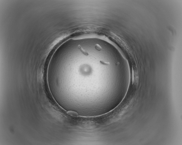 X0000111680483200907311223