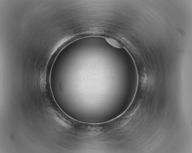 X0000111680484200907311223