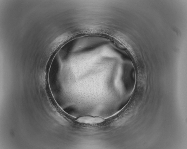 X0000111680485200907311223