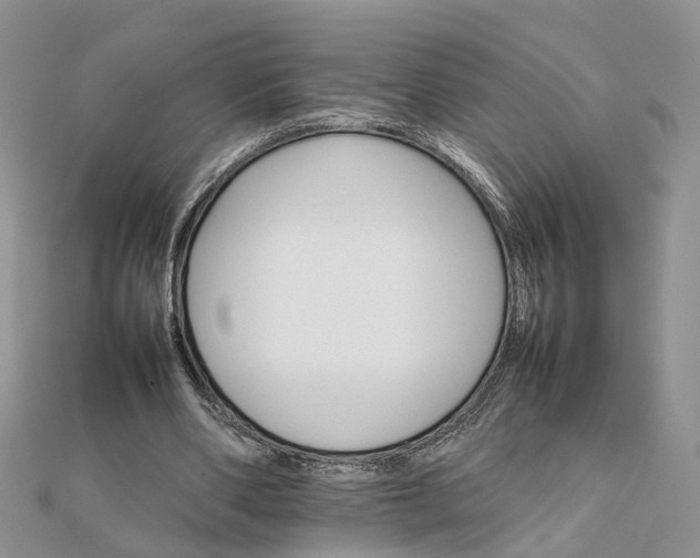 X0000111680486200907311223